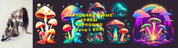 МДМА Карпинск