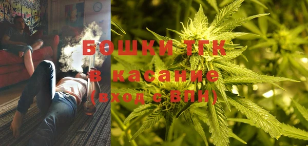 ГАЛЛЮЦИНОГЕННЫЕ ГРИБЫ Карталы