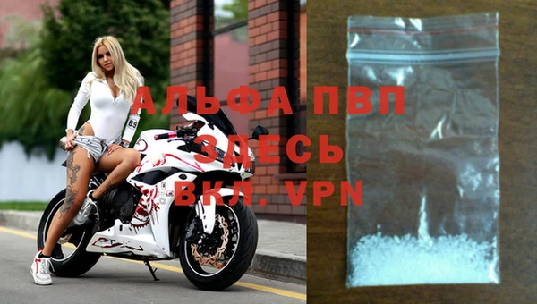 ГАЛЛЮЦИНОГЕННЫЕ ГРИБЫ Карталы