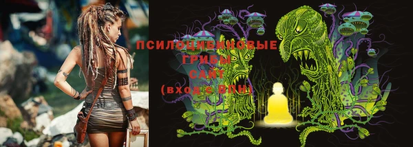 ГАЛЛЮЦИНОГЕННЫЕ ГРИБЫ Карталы