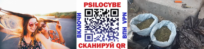 Псилоцибиновые грибы MAGIC MUSHROOMS  Купить  Бронницы 
